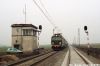 Nazwa pliku=114-034.jpg
Wielkość pliku=113KiB
Rozmiar=900x600
Data dodania= 01, Kwiecień 2010 114-034.jpg