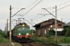 Nazwa pliku=20090822_1700_06114.jpg
Wielkość pliku=258KiB
Rozmiar=1050x700
Data dodania= 26, Sierpień 2009 20090822_1700_06114.jpg
