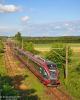 Nazwa pliku=20110620_1816_01792.JPG
Wielkość pliku=193KiB
Rozmiar=680x850
Data dodania= 14, Wrzesień 2014 20110620_1816_01792.JPG