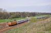 Nazwa pliku=20130427_1055_00667.JPG
Wielkość pliku=235KiB
Rozmiar=1050x700
Data dodania= 18, Listopad 2013 20130427_1055_00667.JPG