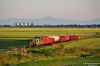 Nazwa pliku=20140607_2018_02436.JPG
Wielkość pliku=331KiB
Rozmiar=1050x700
Data dodania= 14, Czerwiec 2014 20140607_2018_02436.JPG