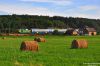 Nazwa pliku=20140801_0935_08476.JPG
Wielkość pliku=298KiB
Rozmiar=1050x700
Data dodania= 06, Sierpień 2014 20140801_0935_08476.JPG