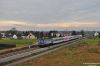 Nazwa pliku=20141214_1215_09022.JPG
Wielkość pliku=195KiB
Rozmiar=1050x700
Data dodania= 14, Grudzień 2014 20141214_1215_09022.JPG