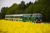 Nazwa pliku=20150523_0920_09280.JPG
Wielkość pliku=211KiB
Rozmiar=1050x700
Data dodania= 02, Czerwiec 2015 20150523_0920_09280.JPG