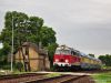 Nazwa pliku=20150727_1056_09800.JPG
Wielkość pliku=257KiB
Rozmiar=1050x788
Data dodania= 29, Sierpień 2015 20150727_1056_09800.JPG