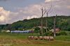 Nazwa pliku=20150728_1135_09861.JPG
Wielkość pliku=215KiB
Rozmiar=1050x700
Data dodania= 30, Sierpień 2015 20150728_1135_09861.JPG