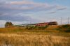 Nazwa pliku=20150728_2018_09902.jpg
Wielkość pliku=466KiB
Rozmiar=1400x932
Data dodania= 09, Styczeń 2024 20150728_2018_09902.jpg