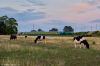 Nazwa pliku=20150728_2056_09909.jpg
Wielkość pliku=378KiB
Rozmiar=1399x933
Data dodania= 17, Styczeń 2025 20150728_2056_09909.jpg