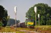 Nazwa pliku=DSC_3918.jpg
Wielkość pliku=162KiB
Rozmiar=900x600
Data dodania= 15, Sierpień 2010 DSC_3918.jpg